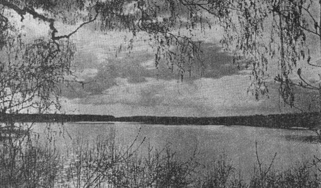 Hino järve foto Eesti Loodusest